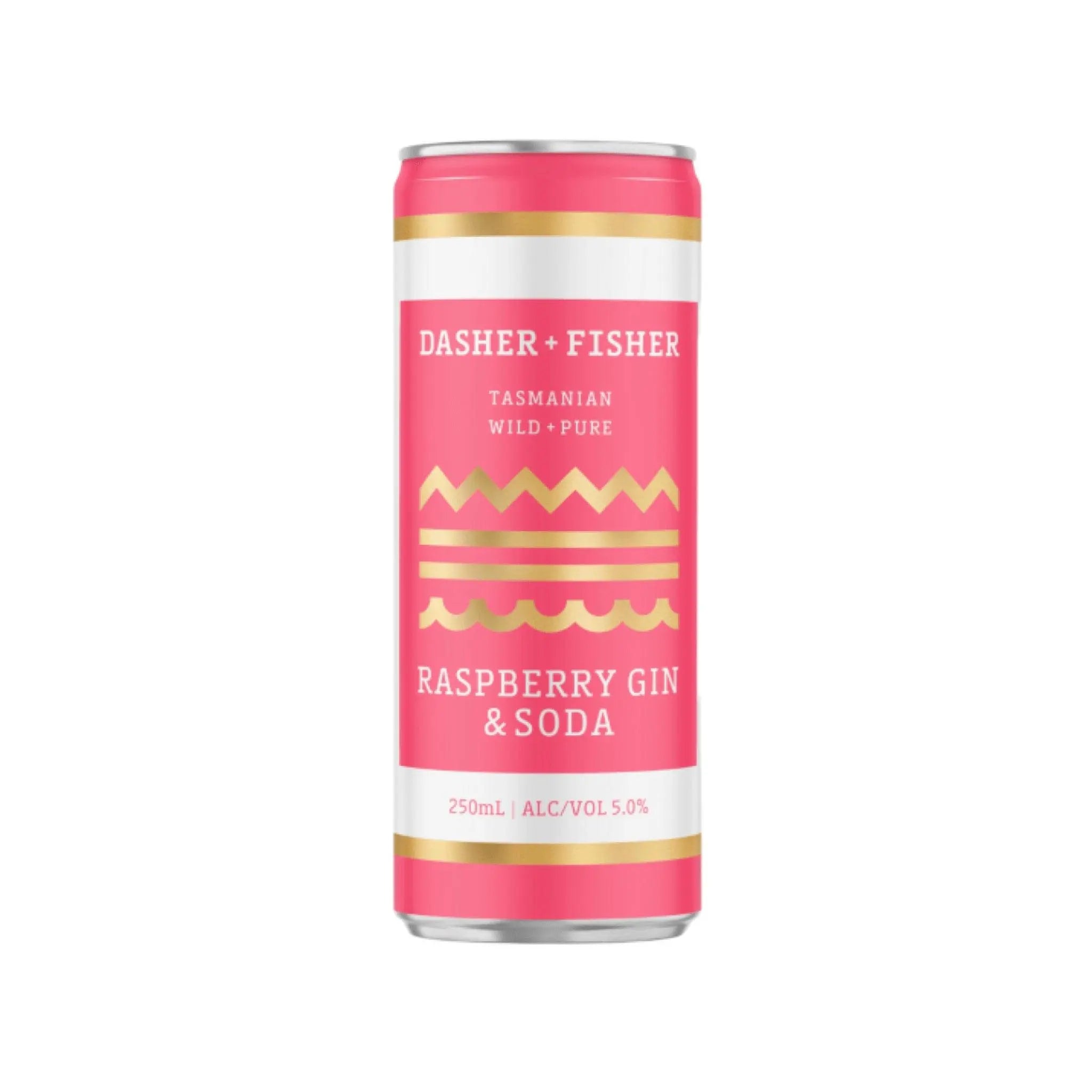 Dasher & Fisher Raspberry Gin & Soda 250ml