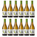 Terre dei Miti Etna Bianco DOC 2024 750ml — 12-bottle arrangement (illustrative)