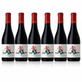 Terre dei Miti Etna Rosso DOC 2024 750ml — 6-bottle arrangement (illustrative)